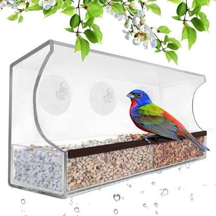 Clear Window Bird Feeder